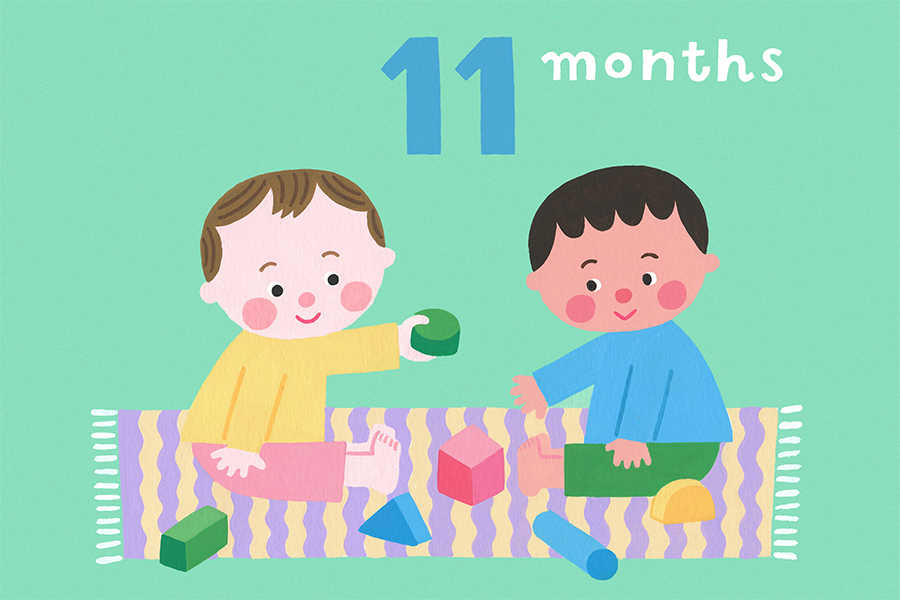 【専門家監修】生後11か月の赤ちゃんの特徴やお世話のポイント、注意点やおすすめのおもちゃを解説