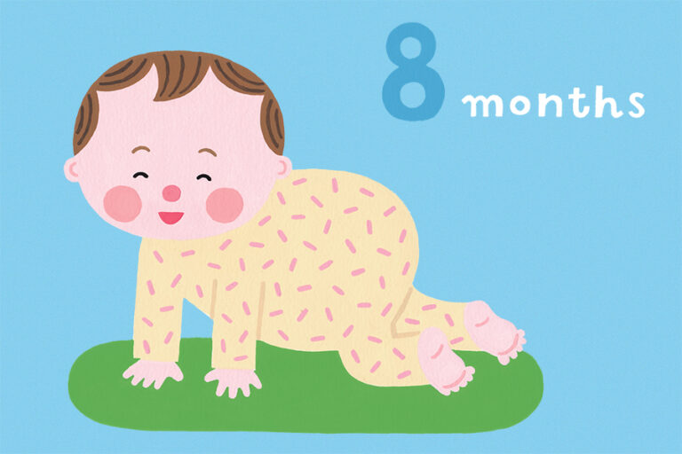 【専門家監修】生後8ヶ月の赤ちゃんの特徴やお世話のポイント、注意点やおすすめのおもちゃを解説