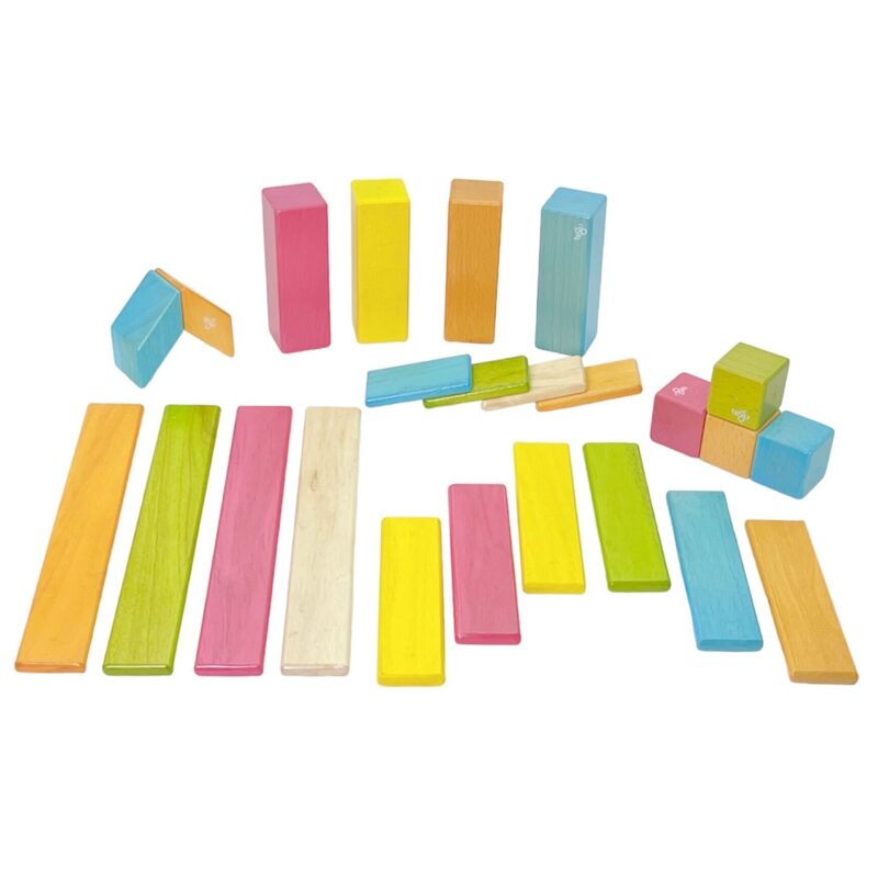 tegu マグネットブロック 24P